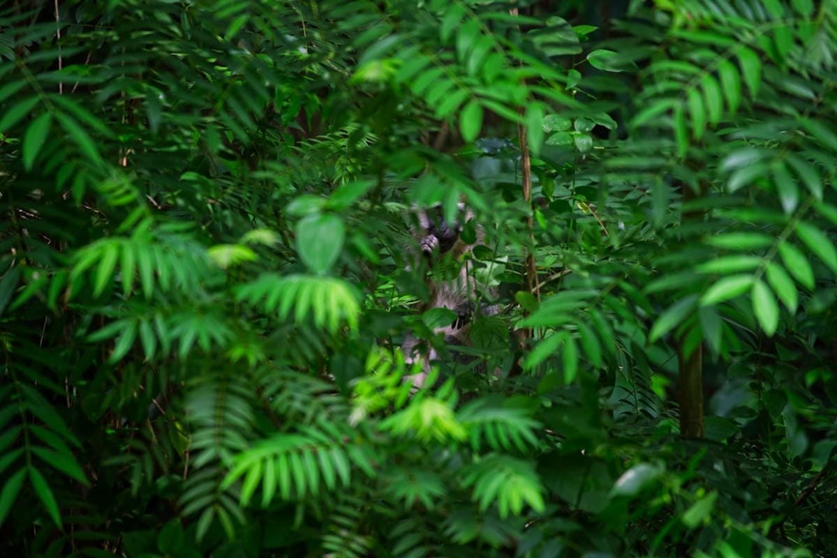 Close-up of a Call of Duty character with a high-detail camo pattern in a stealth environment