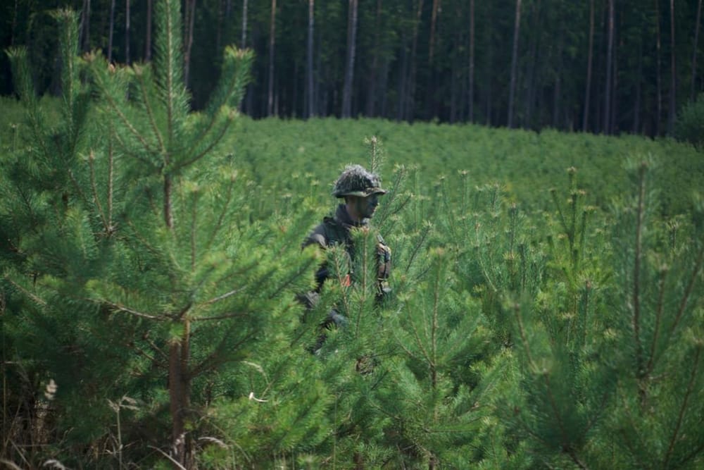 Mastering Camo-Guides to Elevate Your Call of Duty Gaming Experience