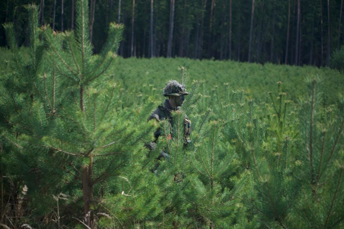 Mastering Camo-Guides to Elevate Your Call of Duty Gaming Experience